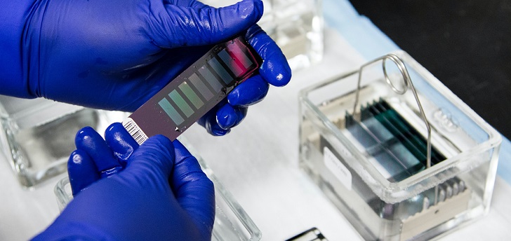 Laboratorio Destina Genomics busca dos millones de euros para ampliar su capacidad de producción